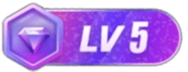 等级-LV5-777网创网