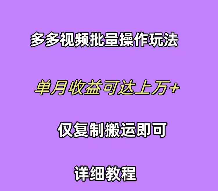 （10029期）拼多多视频带货快速过爆款选品教程 每天轻轻松松赚取三位数佣金 小白必…-777网创网