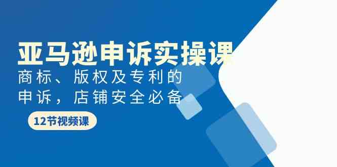 (9754期)亚马逊-申诉实战课,商标、版权及专利的申诉,店铺安全必备-777网创网