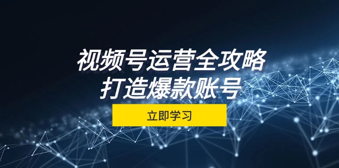 （12912期）视频号运营全攻略，从定位到成交一站式学习，视频号核心秘诀，打造爆款…-777网创网