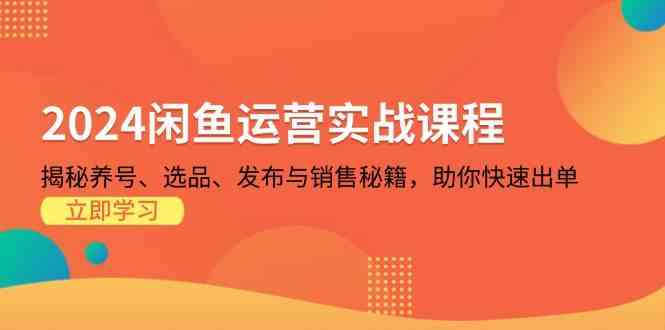 2024闲鱼运营实战课程：揭秘养号、选品、发布与销售秘籍，助你快速出单-777网创网