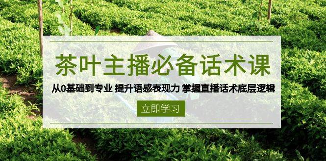 （13961期）茶叶 主播必备话术课 从0基础到专业 提升语感表现力 掌握直播话术底层逻辑-777网创网
