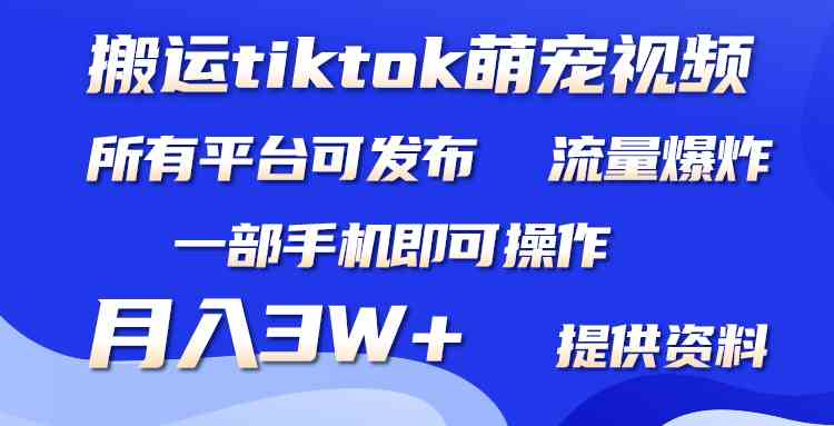 (9618期)搬运Tiktok萌宠类视频,一部手机即可。所有短视频平台均可操作,月入3W+-777网创网