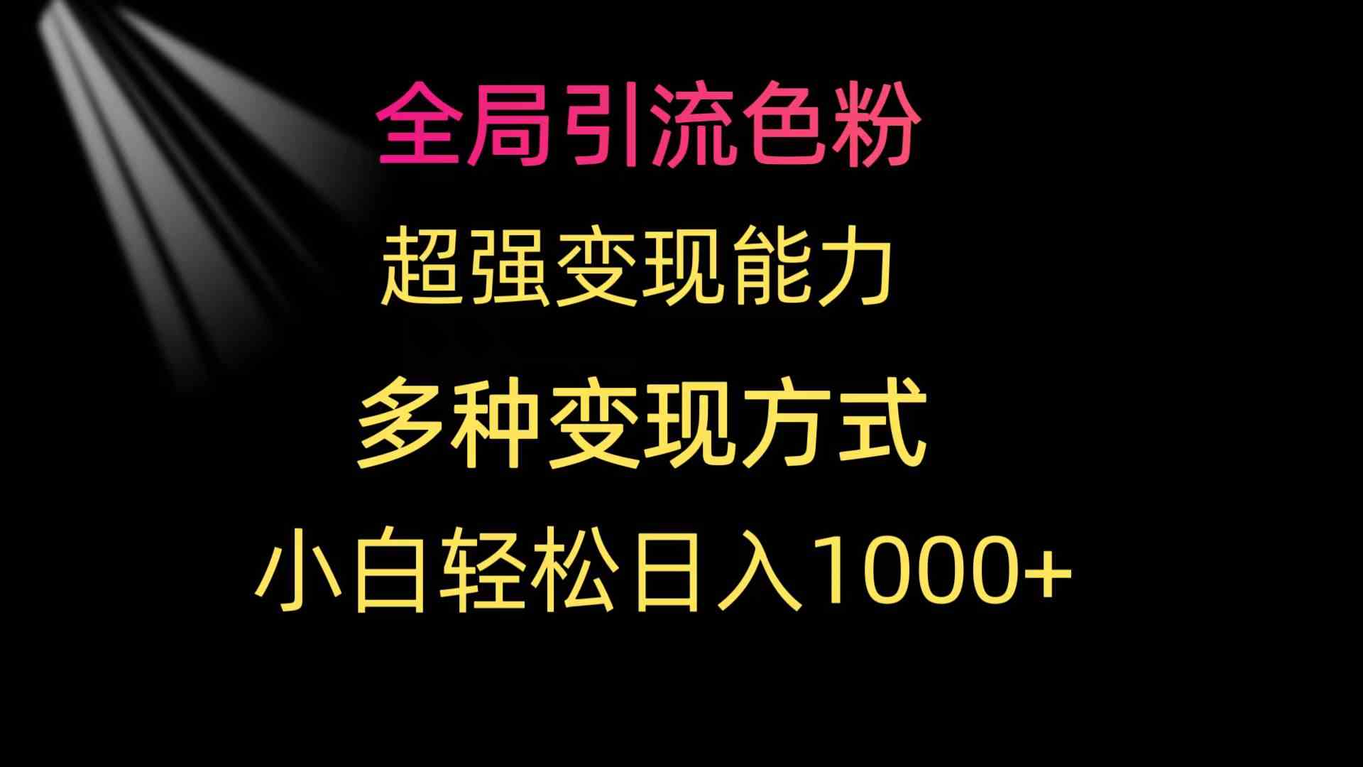 (9680期)全局引流色粉 超强变现能力 多种变现方式 小白轻松日入1000+-777网创网