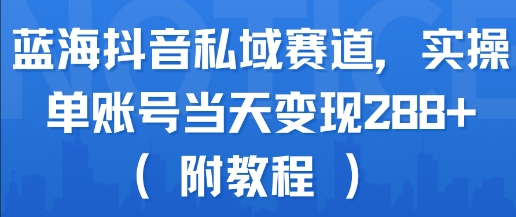 蓝海抖音私域赛道,实操单账号当天变现288+(附教程)-777网创网