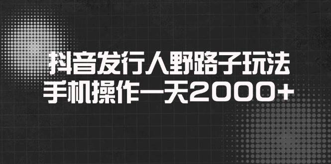 （14068期）抖音发行人野路子玩法，手机操作一天2000+-777网创网