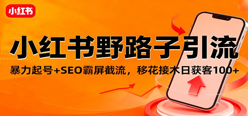 小红书野路子引流,暴力起号+SEO霸屏截流,移花接木日获客100+ 小红书野路子引流,暴力起号+SEO霸屏截流,移花接木日获客100+