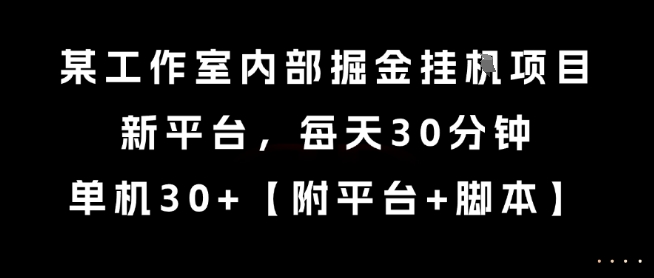 某工作室内部掘金挂G项目，新平台，每天30分钟，单机30+【揭秘】-777网创网