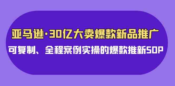 （9944期）亚马逊30亿·大卖爆款新品推广，可复制、全程案例实操的爆款推新SOP-777网创网