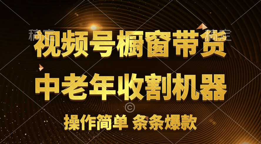 图片[1]-（11009期）[你的孩子成功取得高位]视频号最火爆赛道，橱窗带货，流量分成计划，条…-777网创网