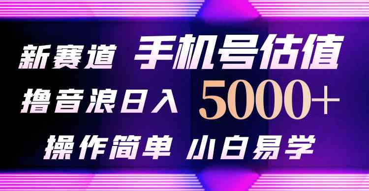 图片[1]-（10154期）抖音不出境直播【手机号估值】最新撸音浪，日入5000+，简单易学，适合…-777网创网