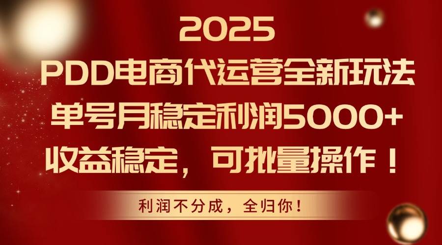 (14839期)2025PDD电商代运营全新玩法,单号月稳定利润5000+,收益稳定,可批量操作-777网创网