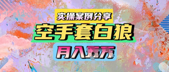 空手套白狼,月入过1W,实操案例分享-777网创网