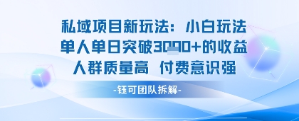 私域项目新玩法小白玩法单人单日突破1k的收益人群质量高付费意识强-777网创网