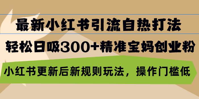 （13145期）最新小红书引流自热打法，轻松日吸300+精准宝妈创业粉，小红书更新后新…-777网创网