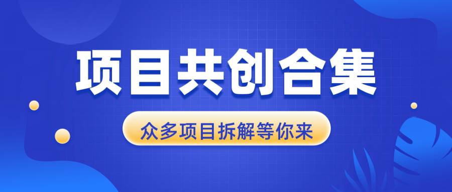 (13778期)项目共创合集,从0-1全过程拆解,让你迅速找到适合自已的项目-777网创网