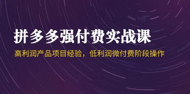 （14874期）拼多多强付费实战课-44期，高利润产品项目经验，低利润微付费阶段操作-777网创网