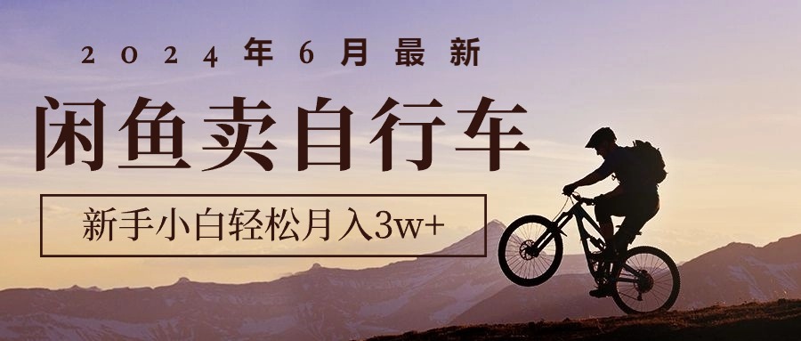 （10915期）2024年6月最新闲鱼卖自行车，新手小白轻松月入3w+项目-777网创网