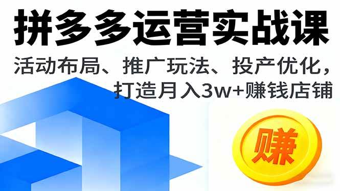（16135期）拼多多运营实战课，活动布局、推广玩法、投产优化，打造月入3w+赚钱店铺-777网创网