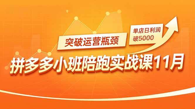 （16654期）拼多多小班陪跑实战课11月，强付费矩阵、原价活动、暗券引流，突破运营瓶颈，单店日利润破5000-777网创网
