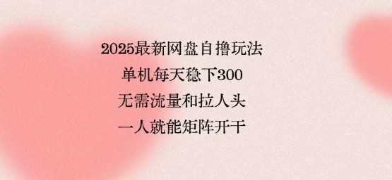 2025最新网盘自撸玩法,单机每天稳下3张,无需流量和拉人头,一个人就可轻松矩阵,全网独一份【揭秘】-777网创网