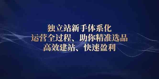 独立站新手体系化 运营全过程，助你精准选品、高效建站、快速盈利-777网创网