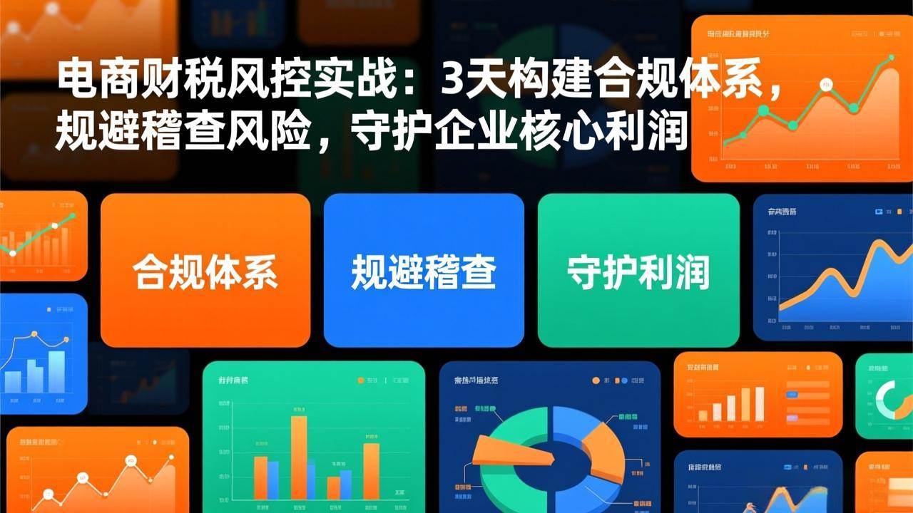 (17197期)电商财税风控实战:3天构建合规体系,规避稽查风险,守护企业核心利润-777网创网