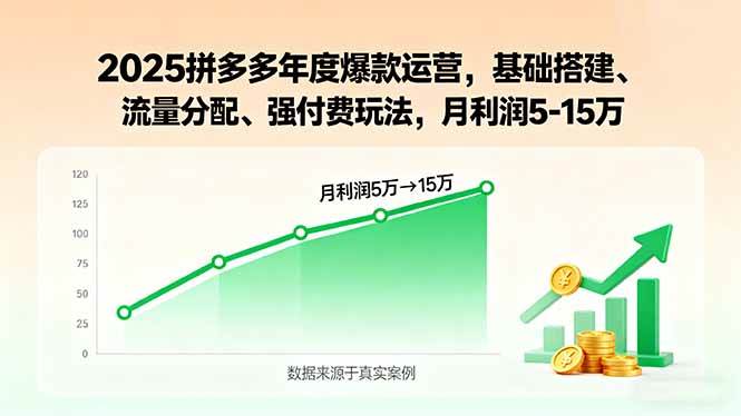 （15973期）2025拼多多年度爆款运营，基础搭建、流量分配、强付费玩法，月利润5-15万-777网创网