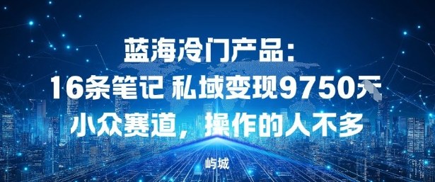 蓝海冷门产品：16条笔记私域变现9750米，小众赛道，操作的人不多-777网创网