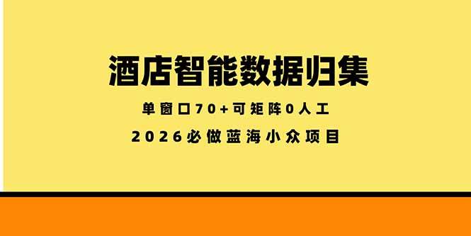 （18500期）酒店智能数据归集，小众蓝海已经稳定半年之久，单窗口70+零成本矩阵开干-777网创网