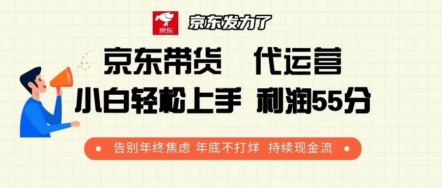 （13833期）京东带货 代运营 利润55分 告别年终焦虑 年底不打烊 持续现金流-777网创网