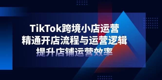 （14369期）TikTok跨境小店运营，精通开店流程与运营逻辑，提升店铺运营效率-777网创网