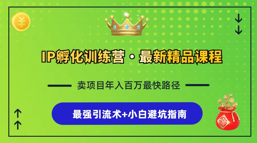 (13055期)IP孵化训练营,知识付费全流程+最强引流术+小白避坑指南-777网创网