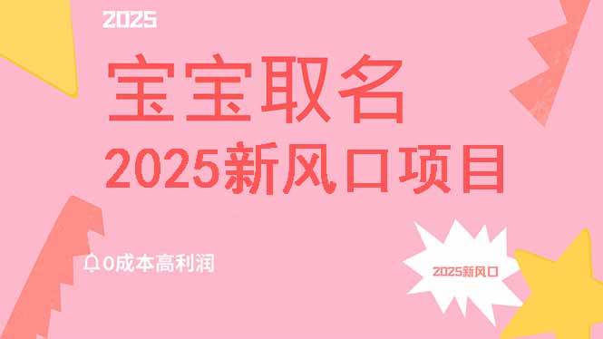 （14593期）2025新风口项目宝宝取名，0成本高利润，附保姆级教程，月入过万不是梦-777网创网