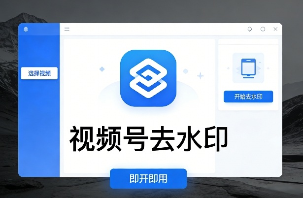 视频号去水印软件，电脑软件，即开即用-777网创网