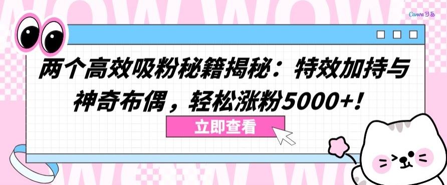 两个高效吸粉秘籍揭秘:特效加持与神奇布偶,轻松涨粉5000+【揭秘】-777网创网