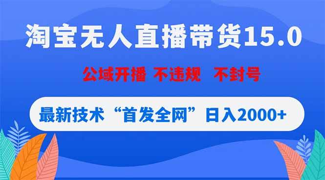 （18562期）淘宝无人直播带货15.0，不封号，不违规，公域玩法，首发全网日入2000+-777网创网
