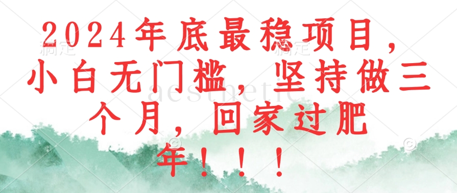 图片[1]-（12970期）2024年底最稳项目，小白无门槛，坚持做三个月，回家过肥年！！！-777网创网