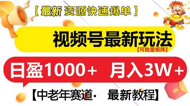 （13530期）视频号最新玩法 中老年赛道 月入3W+-777网创网