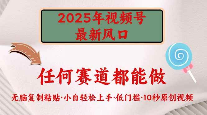（14453期）2025年视频号新风口，低门槛只需要无脑执行-777网创网