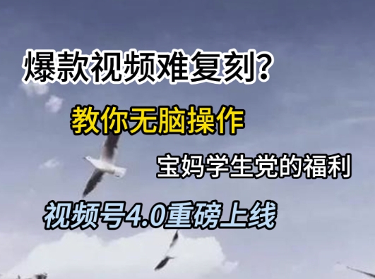 视频号4.0重磅上线,爆款视频难复刻?教你无脑操作宝妈学生党的福利【揭秘】