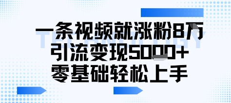 一条视频就涨粉8W引流变现5k+，0基础项目轻松上手-777网创网