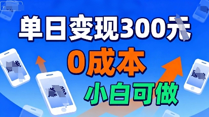 适合新手起步,零成本就能做,当天操作当天见收益,还能无限复制放大的项目