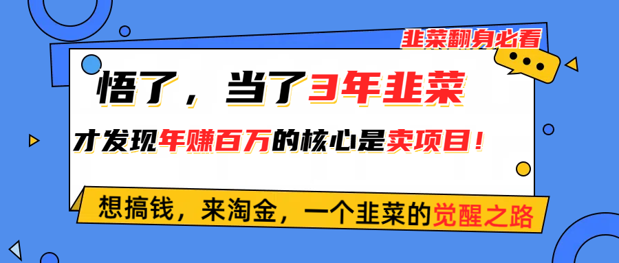 (10759期)悟了,当了3年韭菜,才发现网赚圈年赚100万的核心是卖项目,含泪分享!-777网创网