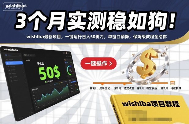 3个月实测稳如狗！wishlba最新项目，一键运行日入50美刀，单窗口躺挣，保姆级教程全给你【揭秘】-777网创网