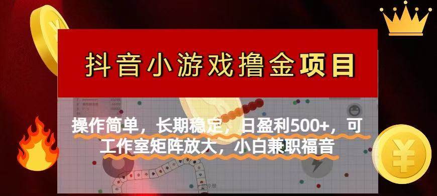 （14290期）【抖音小游戏发行人计划项目】操作简单，长期稳定，日盈利500+，可工作…-777网创网