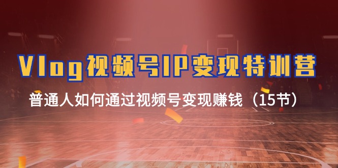 Vlog视频号IP变现特训营,普通人如何通过视频号变现赚钱(15节)-777网创网