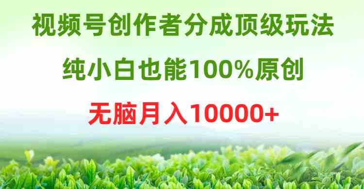 (9608期)视频号创作者分成顶级玩法,纯小白也能100%原创,无脑月入10000+-777网创网