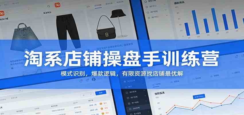 淘系店铺操盘手训练营:模式识别,爆款逻辑,有限资源找店铺最优解-777网创网