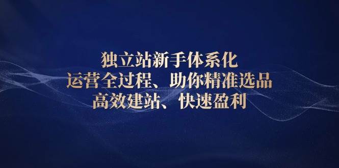 （13914期）独立站新手体系化 运营全过程，助你精准选品、高效建站、快速盈利-777网创网